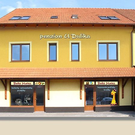 Penzion U Dulika Veselí nad Moravou 외부 사진